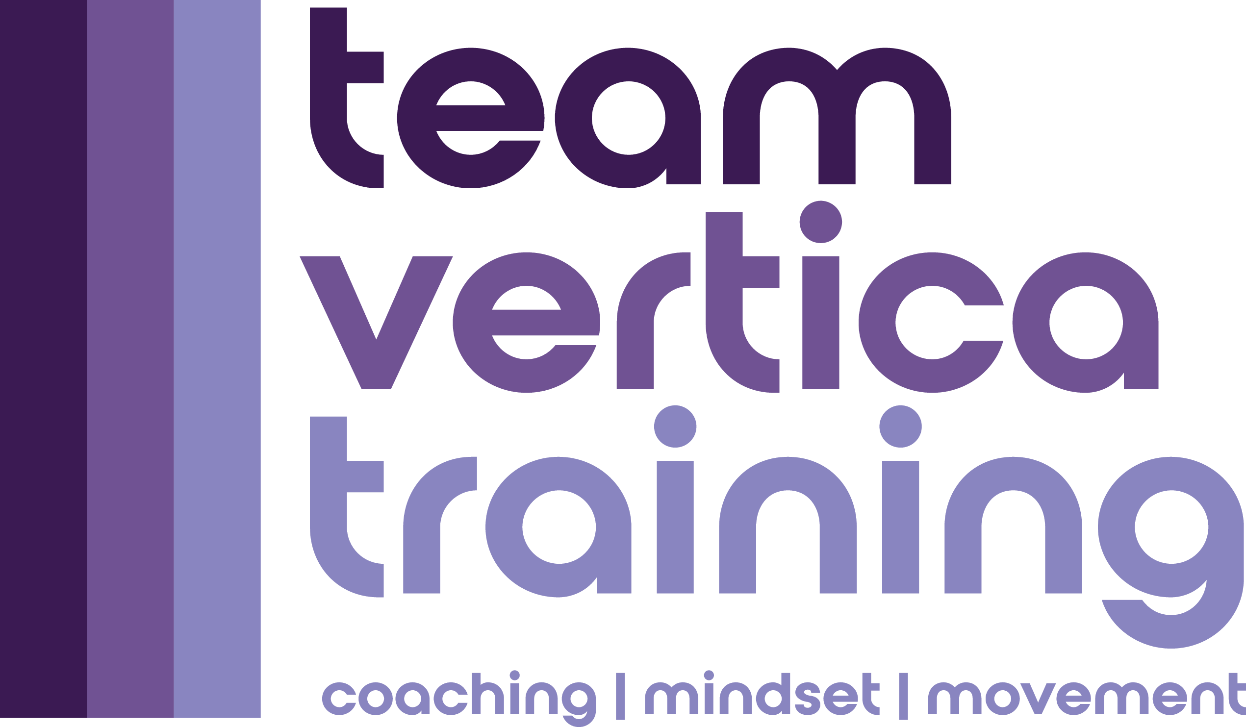 Team Vertica Training